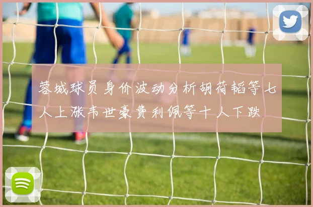 蓉城球员身价波动分析胡荷韬等七人上涨韦世豪费利佩等十人下跌